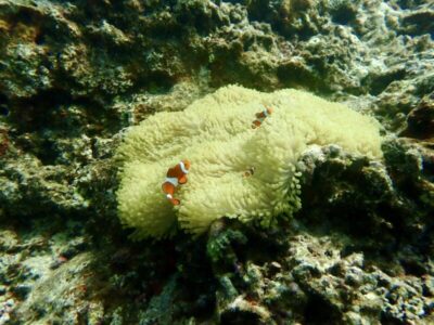 船の上が寒かったな！