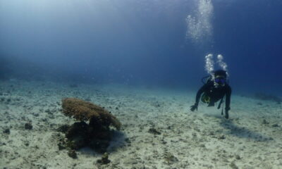 オープンウォーターダイバー誕生☆