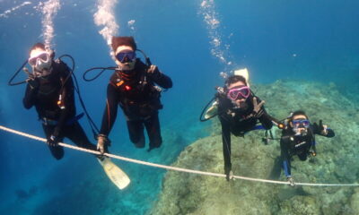 キレイなケラマでOWダイバー誕生！