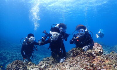 ケラマで卒業旅行ダイビング♪