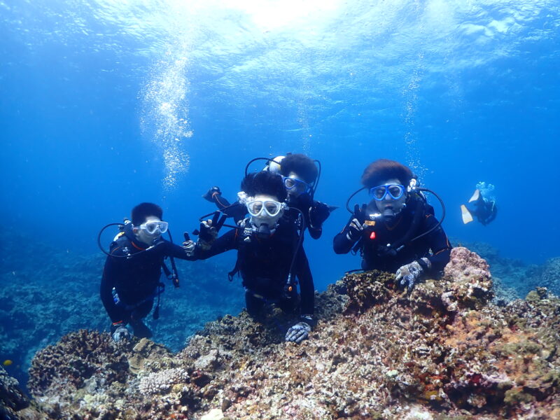 ケラマで卒業旅行ダイビング♪