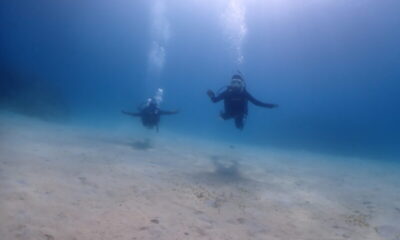 オープンウォーターダイバーの誕生です☆