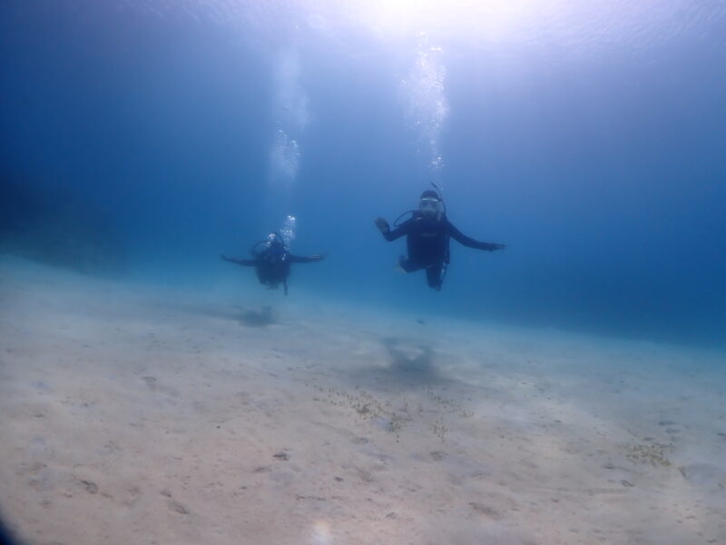 オープンウォーターダイバーの誕生です☆