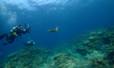 大潮の大物祭り♪
