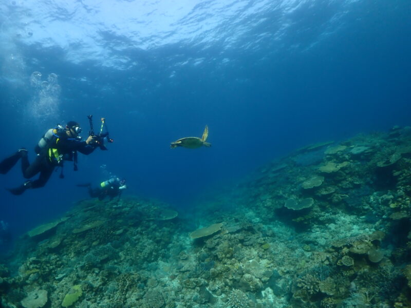 大潮の大物祭り♪