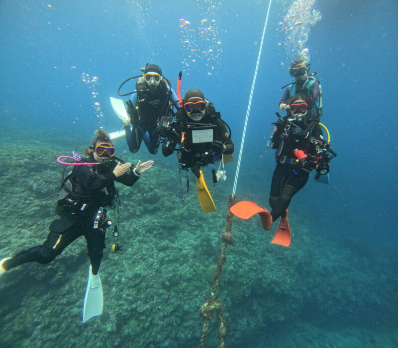 海炎祭明けのケラマ♪