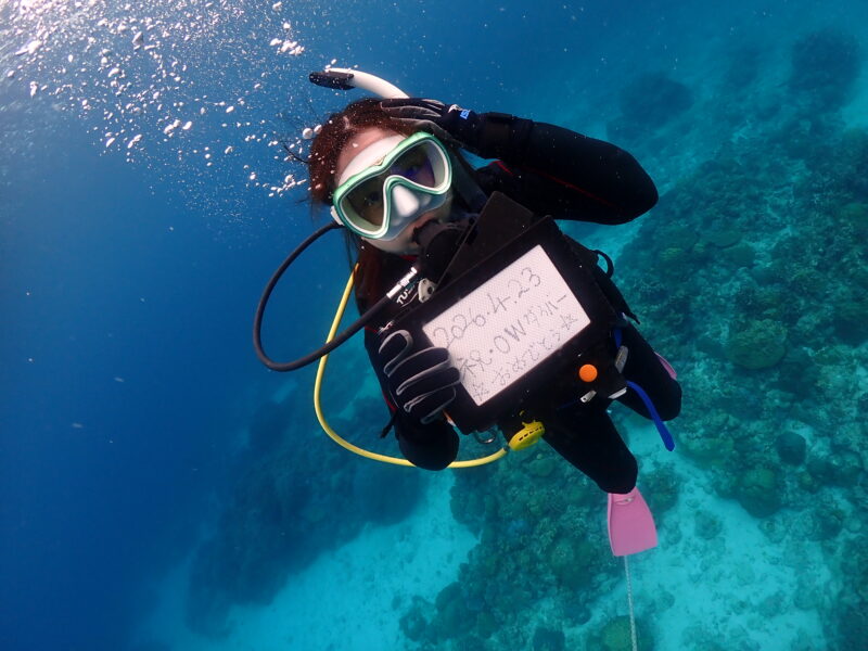 ケラマは今日も青かった☆