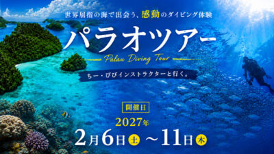 ユナイテッド航空で行くパラオツアー☆12ダイブ付き６日間☆上級者限定でペリリュー遠征もできます