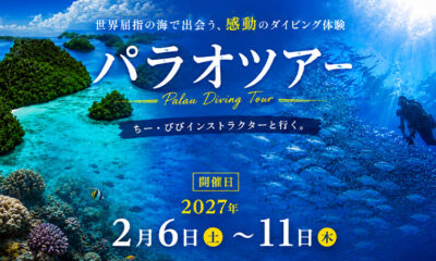 ユナイテッド航空で行くパラオツアー☆12ダイブ付き６日間☆